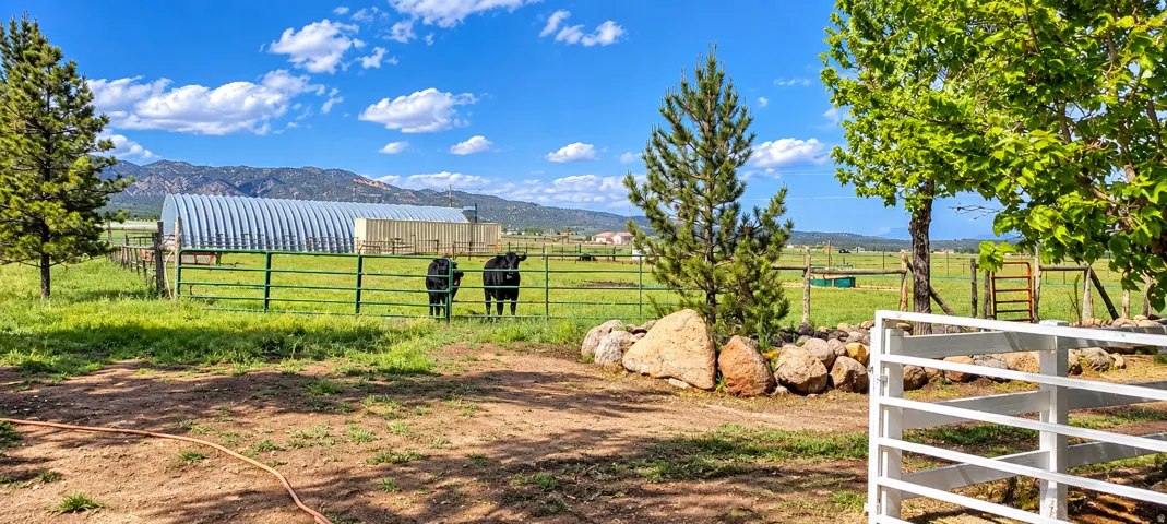 Expansive fenced pasture with distant mountain range