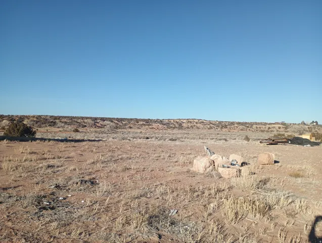 View of yard with a view of rural / pastoral area and view of desert