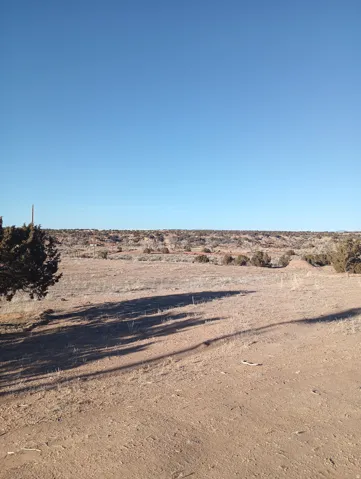 View of yard featuring a rural view and view of desert