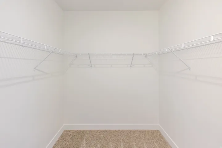 Walk-in closet featuring white wire shelving on three walls, white baseboards, and neutral-toned carpet flooring