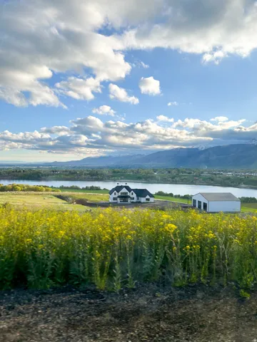 The view of the home and surrounding land in the summer