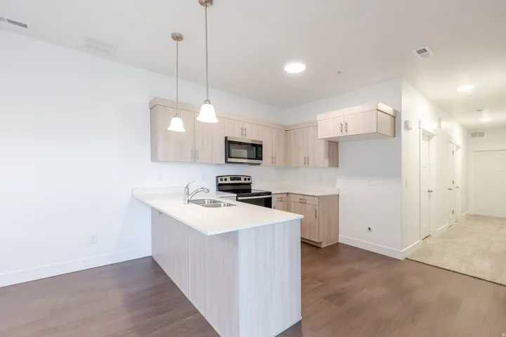 4695 S 690 W #u202, Mapleton, Utah 84664