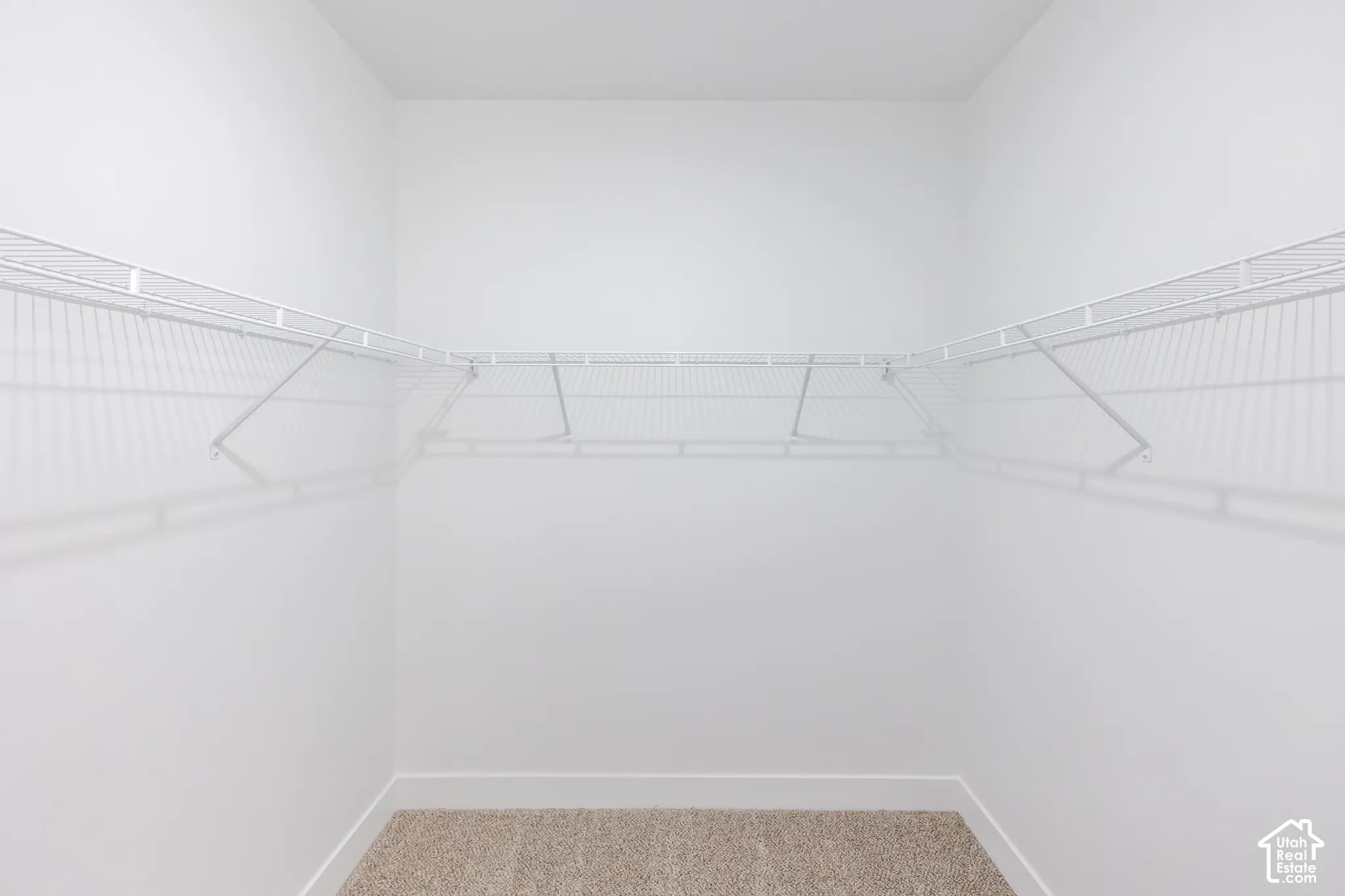 Walk-in closet featuring neutral carpeting and white wire shelving