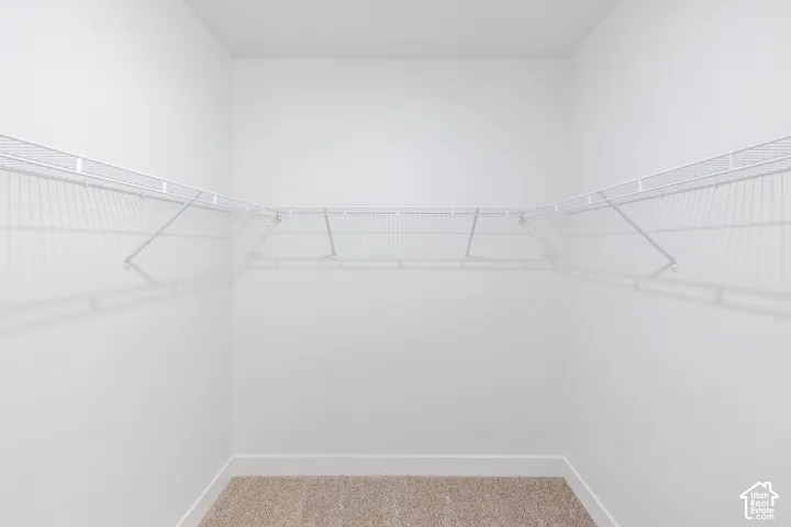 Walk-in closet featuring neutral carpeting and white wire shelving