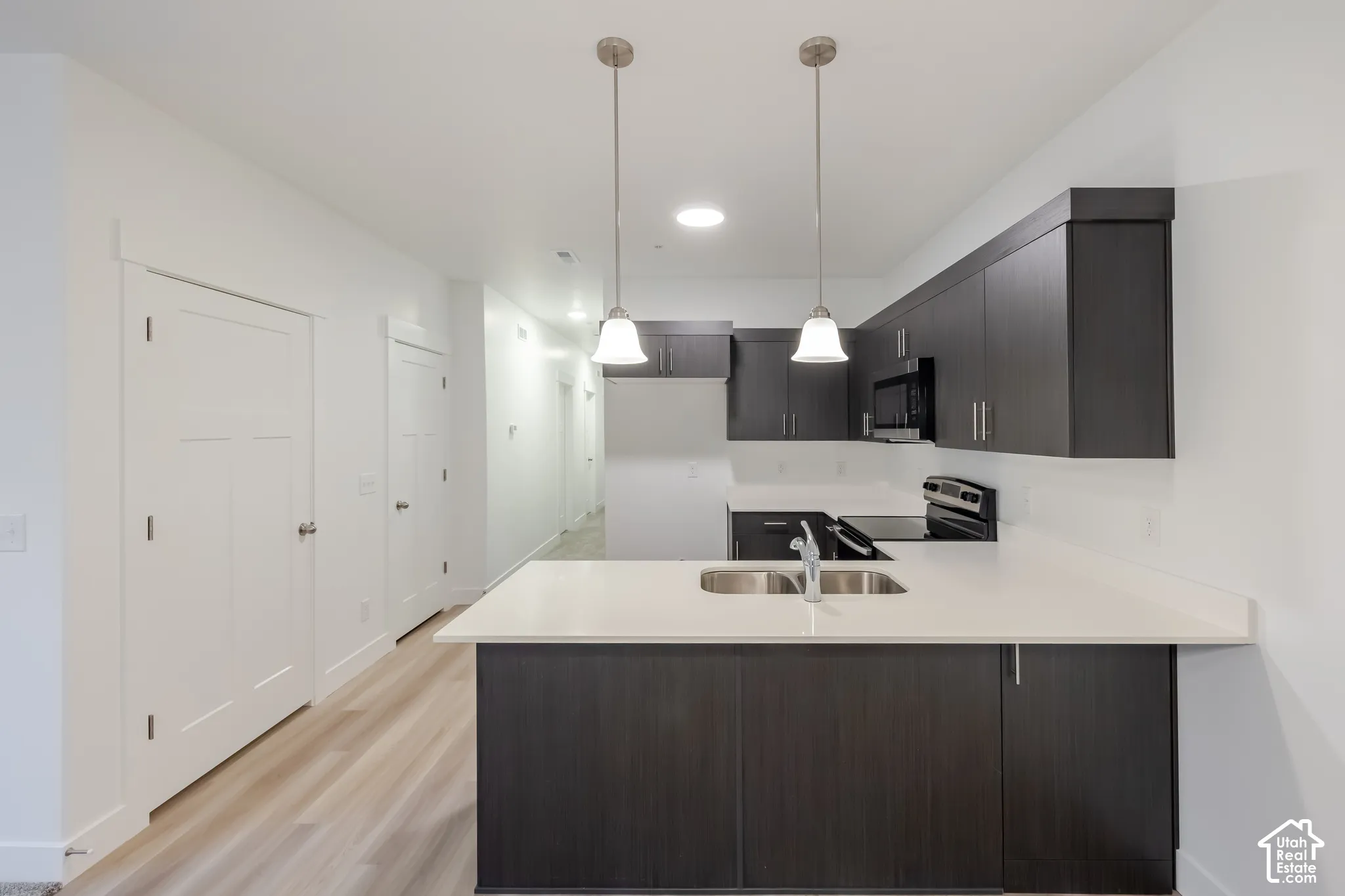 Kitchen featuring dark cabinetry, solid-surface countertops, wood-finish flooring, dual-basin stainless steel sink, and pendant lighting