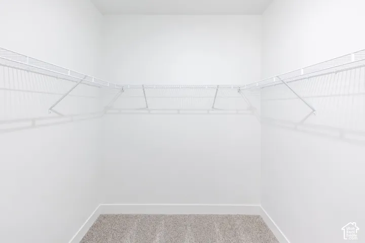 Walk-in storage area featuring neutral-tone carpeting and white wire shelving