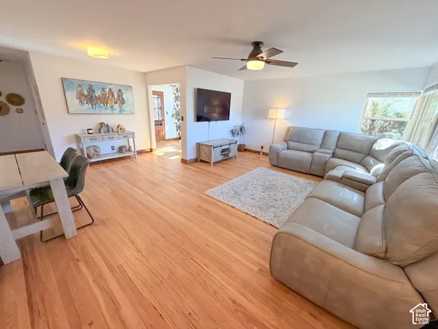 Open, bright & airy