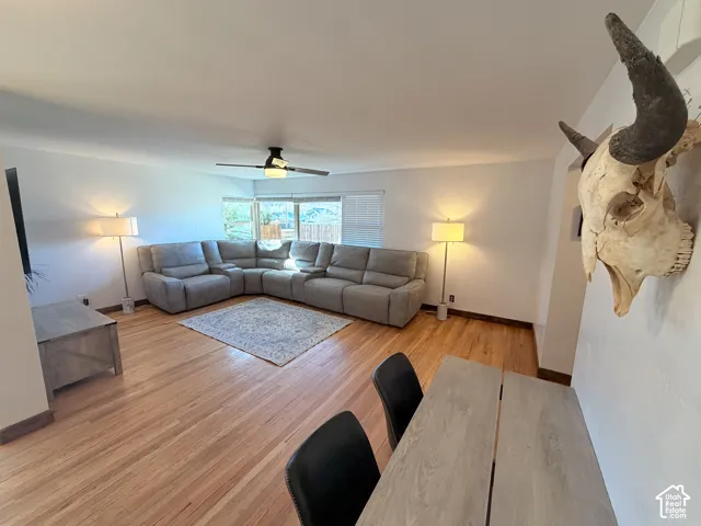 Ceiling fan, open concept