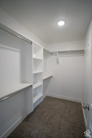 Walk in closet featuring dark carpet