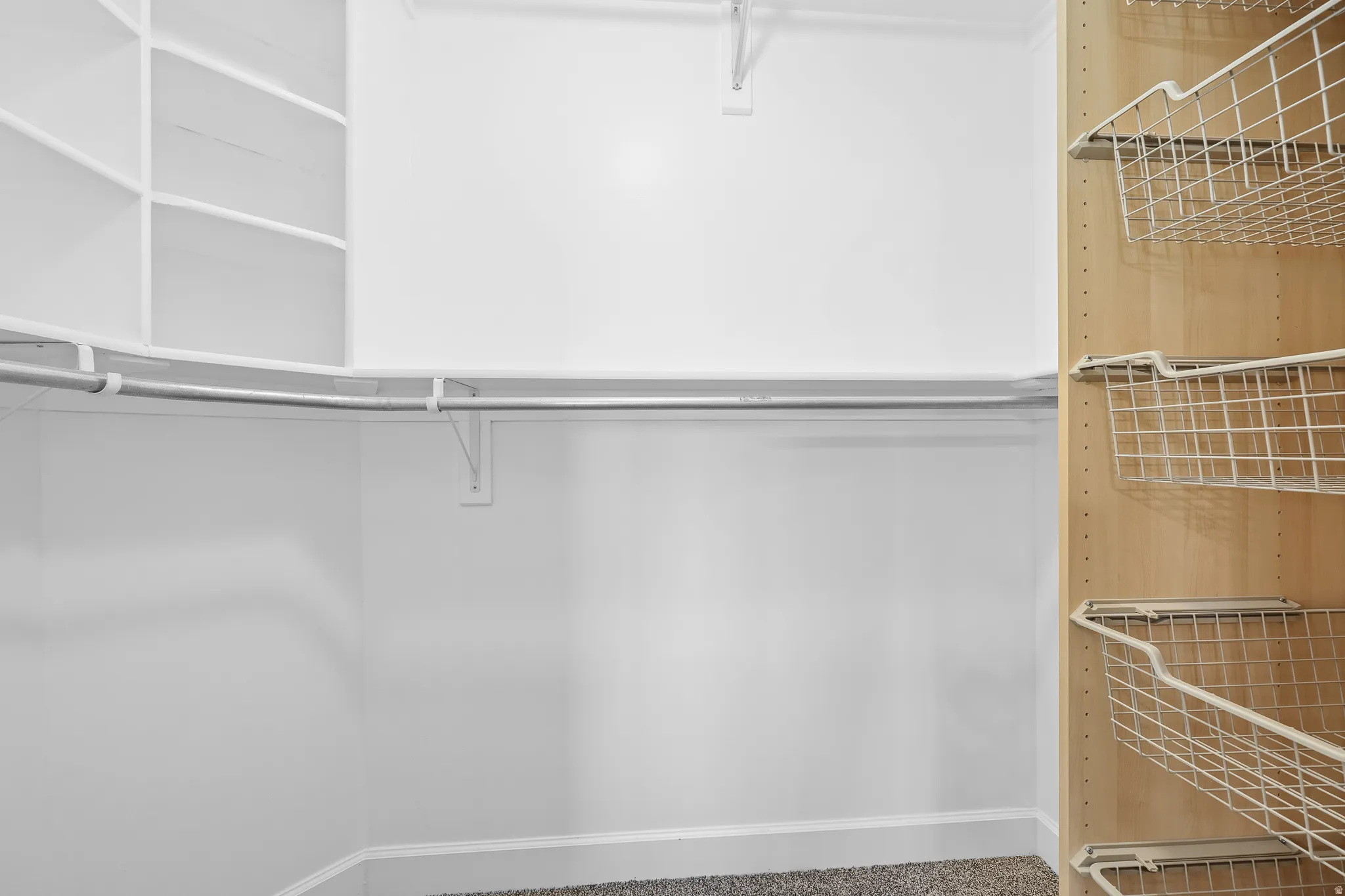 Walk in closet with NEWLY carpeted floors