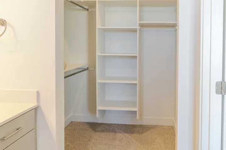 Walk in closet featuring light colored carpet