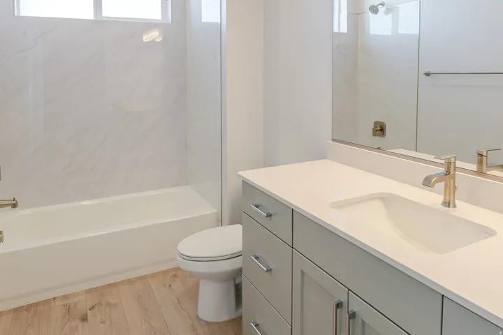 Full bathroom with light wood-type flooring, vanity, plenty of natural light, and shower / bath combination