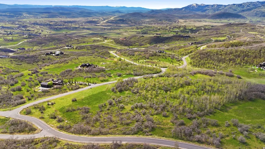 Sweeping aerial perspective of a verdant landscape featuring winding paved roads and distant snow-capped mountains