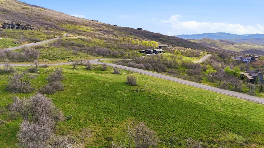Spacious property with abundant green space and a paved roadway