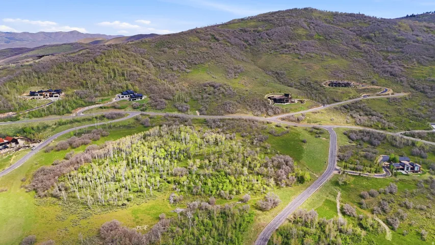 Expansive mountain-side property featuring paved roads, mature trees, and varied topography