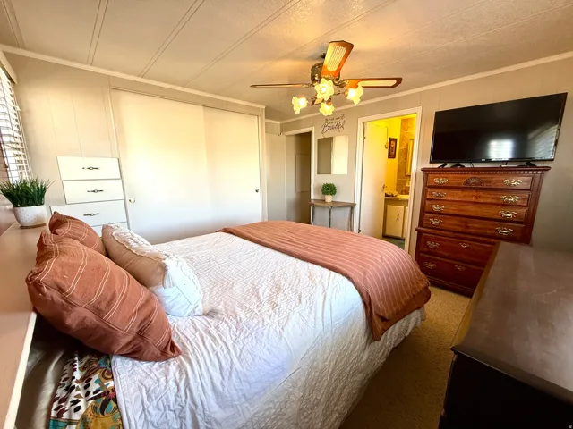 Carpeted bedroom with ceiling fan, connected bathroom, ornamental molding, and a closet