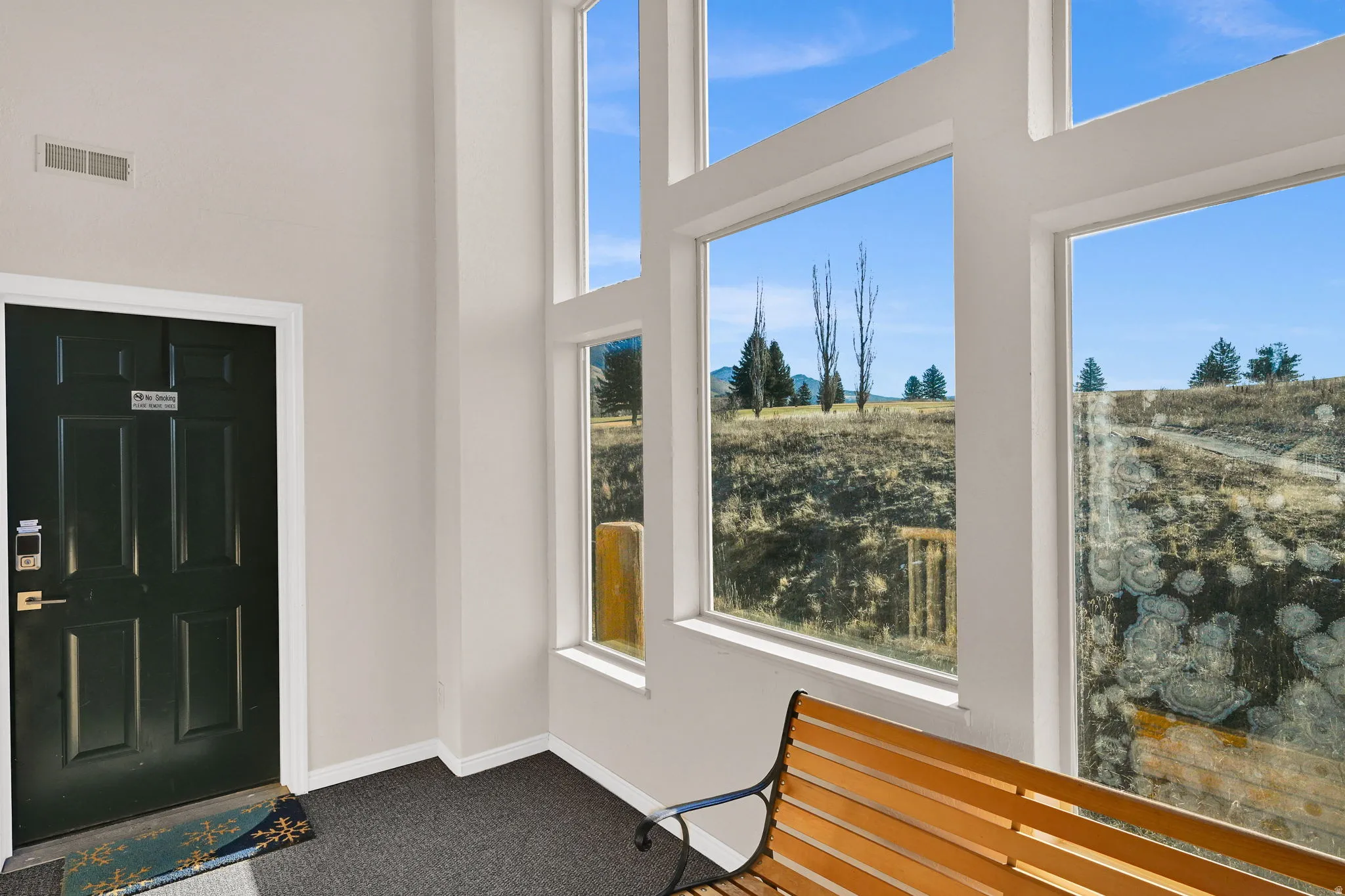 Foyer entrance featuring a high ceiling and carpet floors