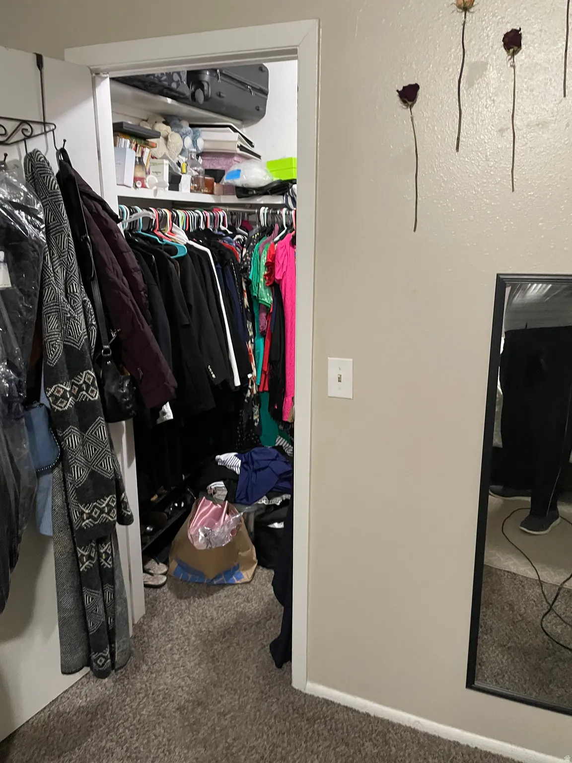Walk in closet featuring carpet flooring