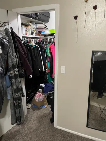 Walk in closet featuring carpet flooring