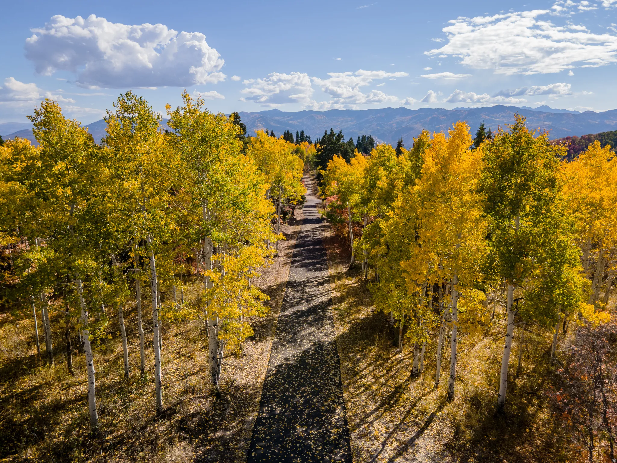 View of mountain background