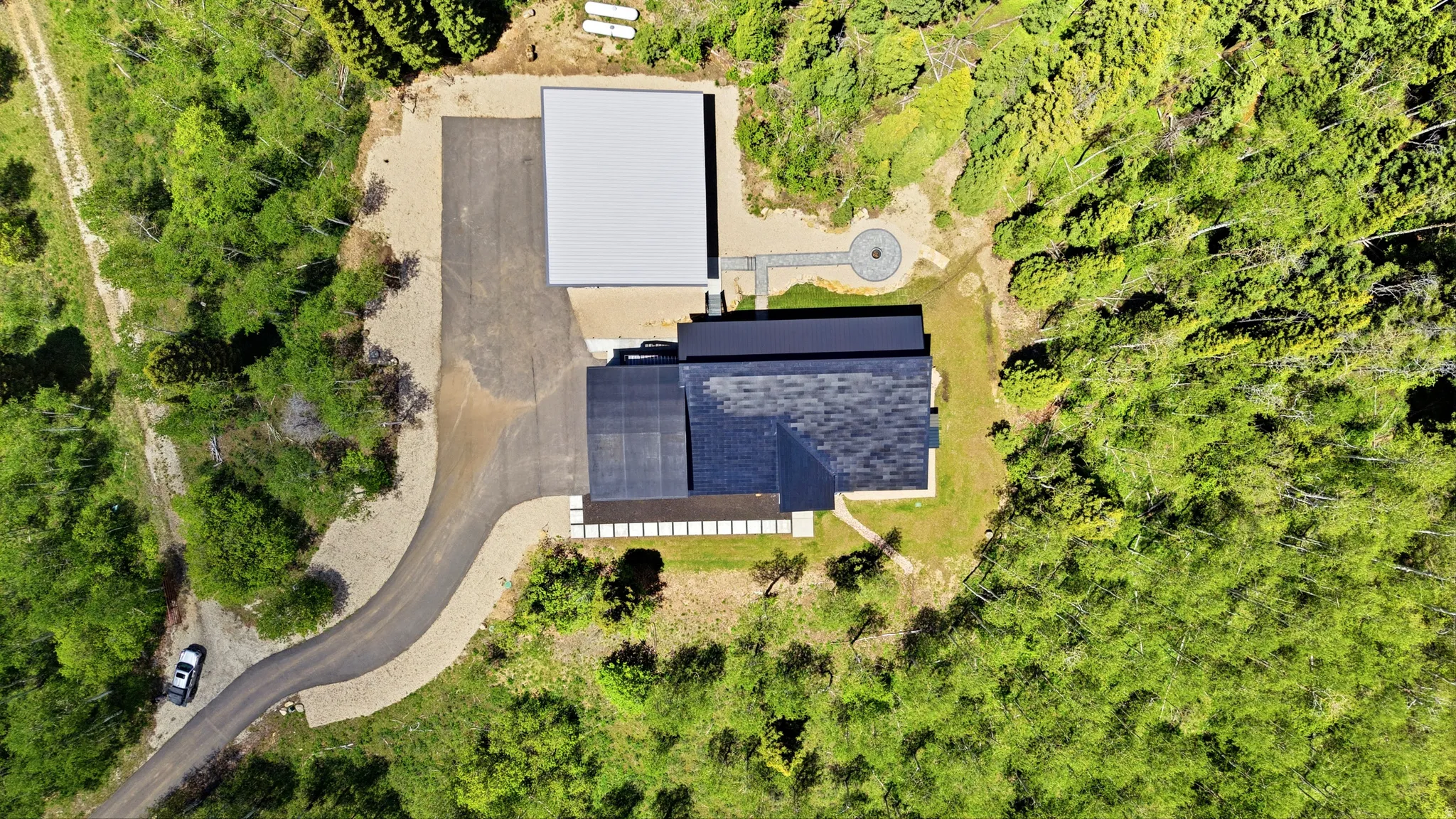 Modern residential property surrounded by lush green foliage