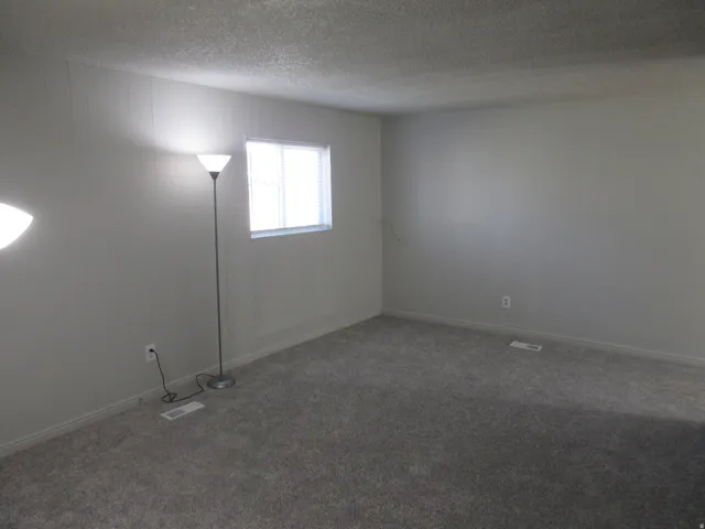 Empty room featuring carpet flooring and a textured ceiling