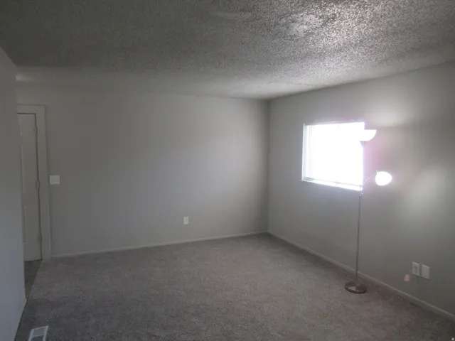 Carpeted spare room with a textured ceiling and baseboards