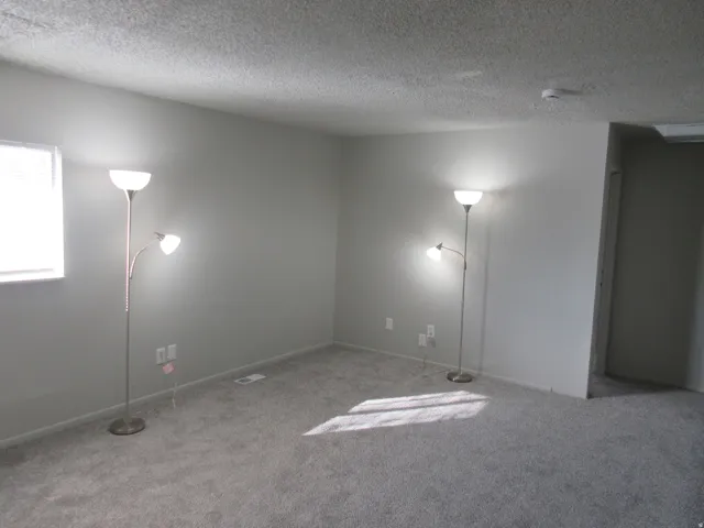 Empty room with carpet flooring and a textured ceiling