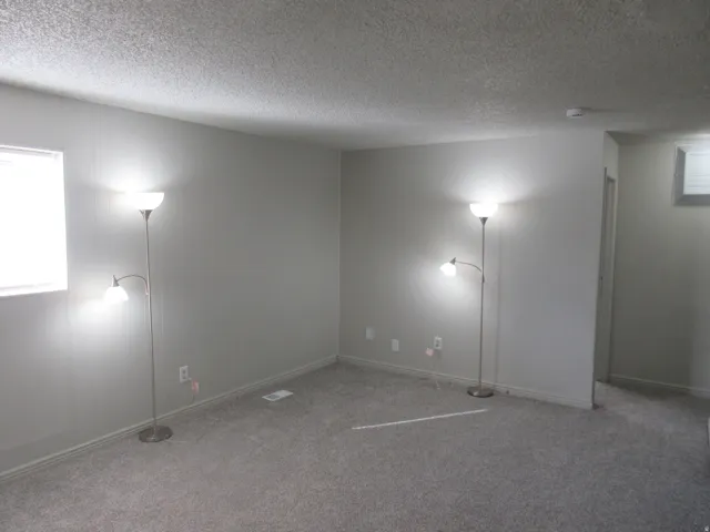 Spare room with carpet flooring and a textured ceiling