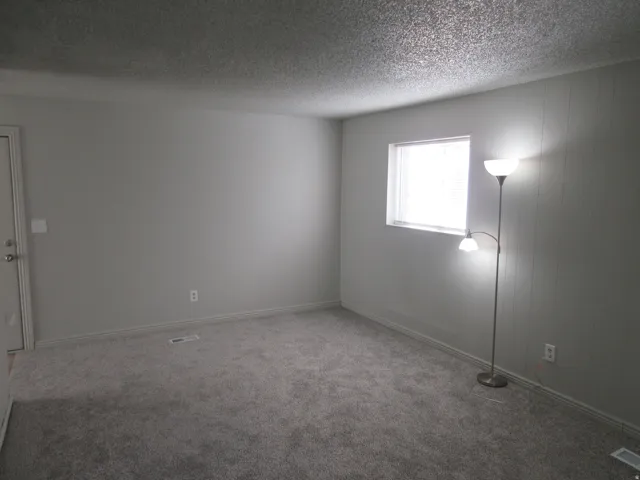 Unfurnished room featuring carpet floors and a textured ceiling
