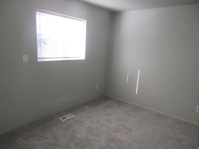 Carpeted spare room featuring plenty of natural light and a textured ceiling