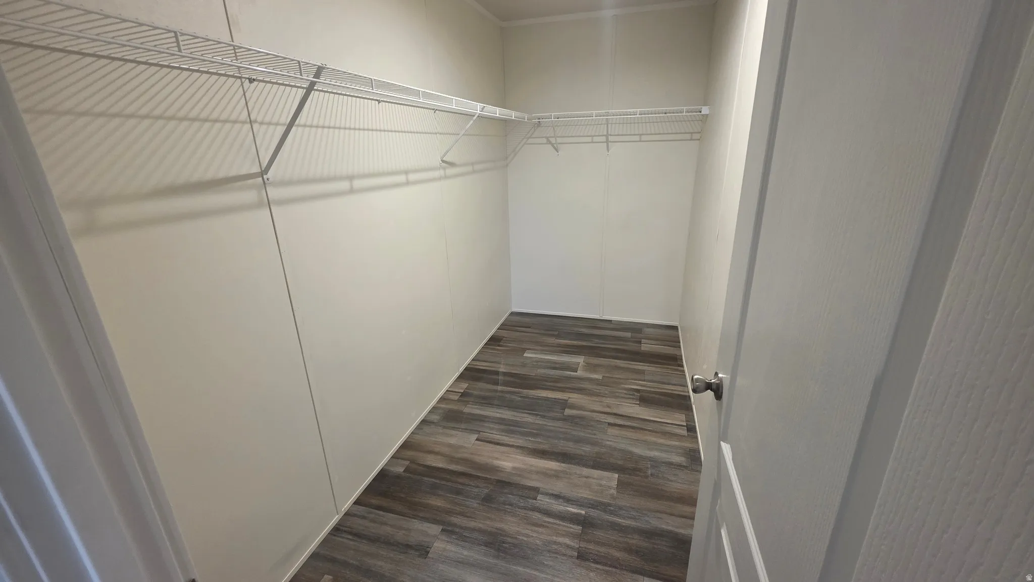 Walk in closet with dark wood-style flooring