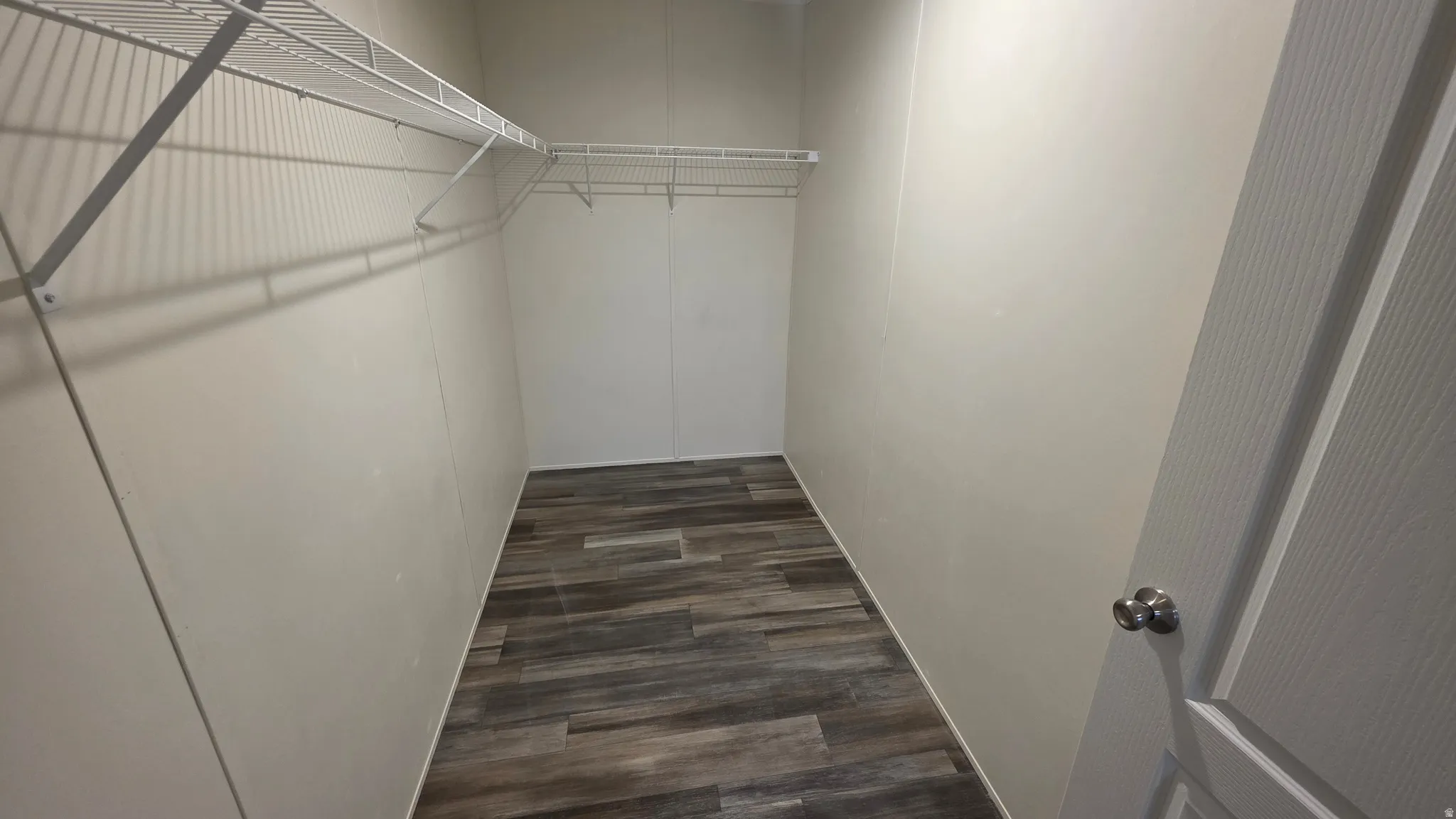 Walk in closet featuring dark wood-style floors