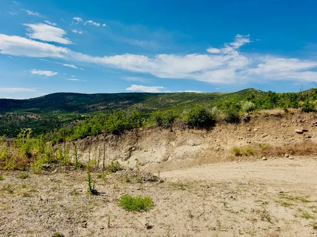Expansive land featuring a clear blue sky, distant green mountains, and a natural dirt ground with scattered vegetation
