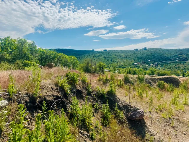 Expansive natural landscape featuring rolling hills and abundant green vegetation