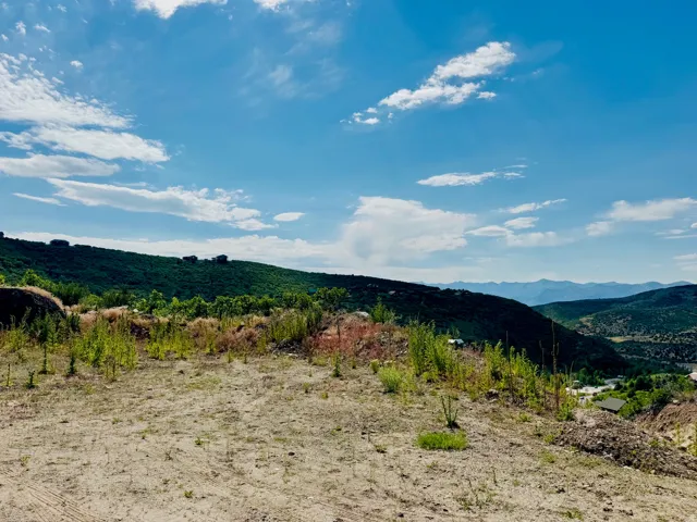 Expansive undeveloped lot featuring partial vegetation and a distant mountainous backdrop