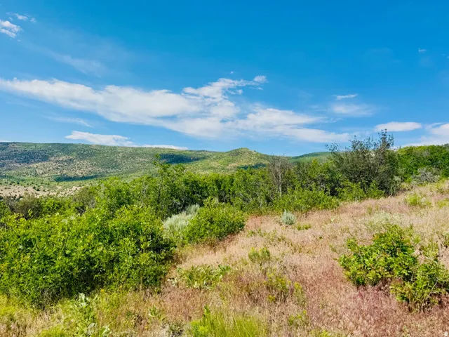 Expansive landscape featuring rolling hills, varied green foliage, and natural ground cover