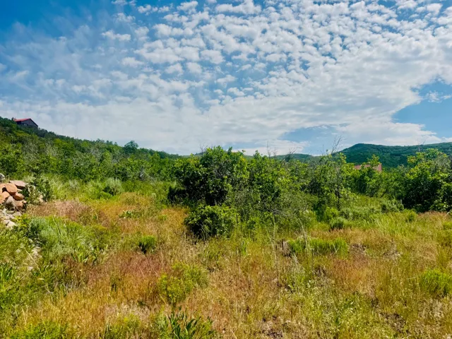Expansive undeveloped land featuring natural vegetation and distant mountain ranges