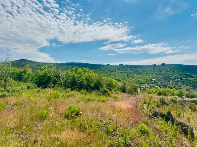 Expansive undeveloped land featuring natural vegetation and distant mountain ranges