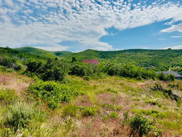 Vast land parcel featuring natural topography, varied plant life, and distant green hills