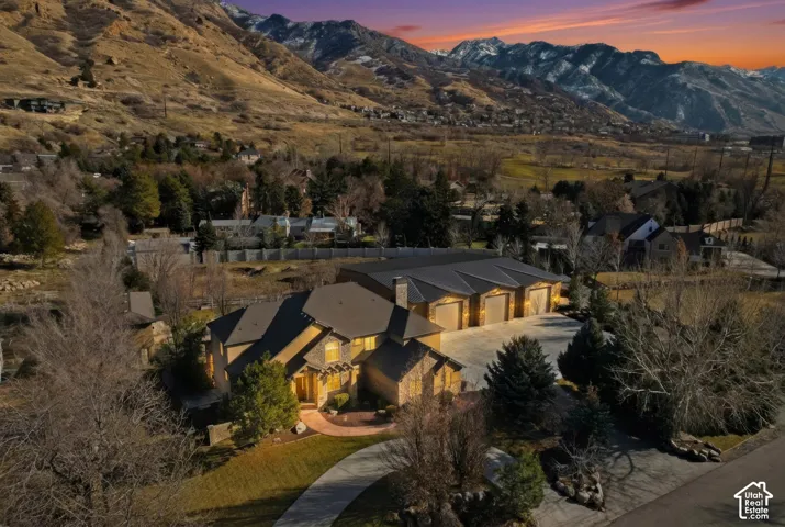 Mountain view featuring a tree filled landscape