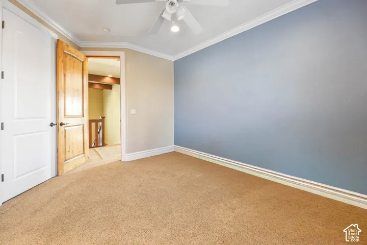 Unfurnished bedroom featuring crown molding, carpet, and ceiling fan