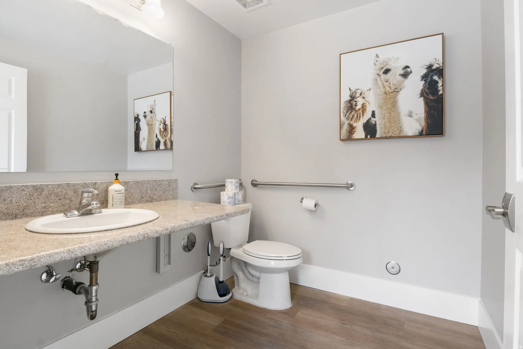 Half bath with dark wood-style flooring and vanity