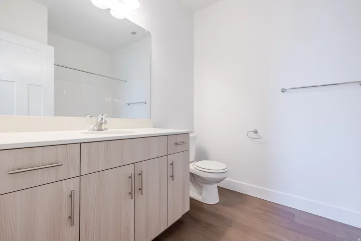 Spacious vanity with light wood-finish cabinetry, a single basin sink, and a large mirror