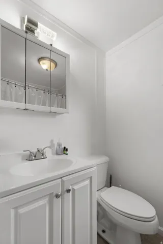 Bathroom with vanity, curtained shower, and ornamental molding