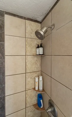 Bathroom view of a tile shower