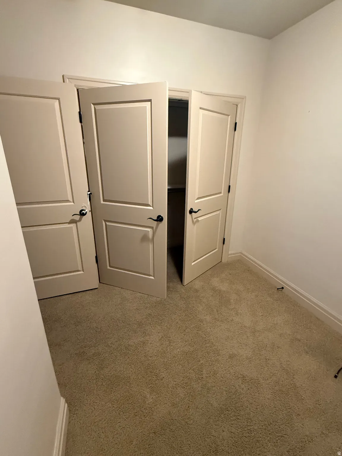 Unfurnished bedroom with baseboards and light colored carpet