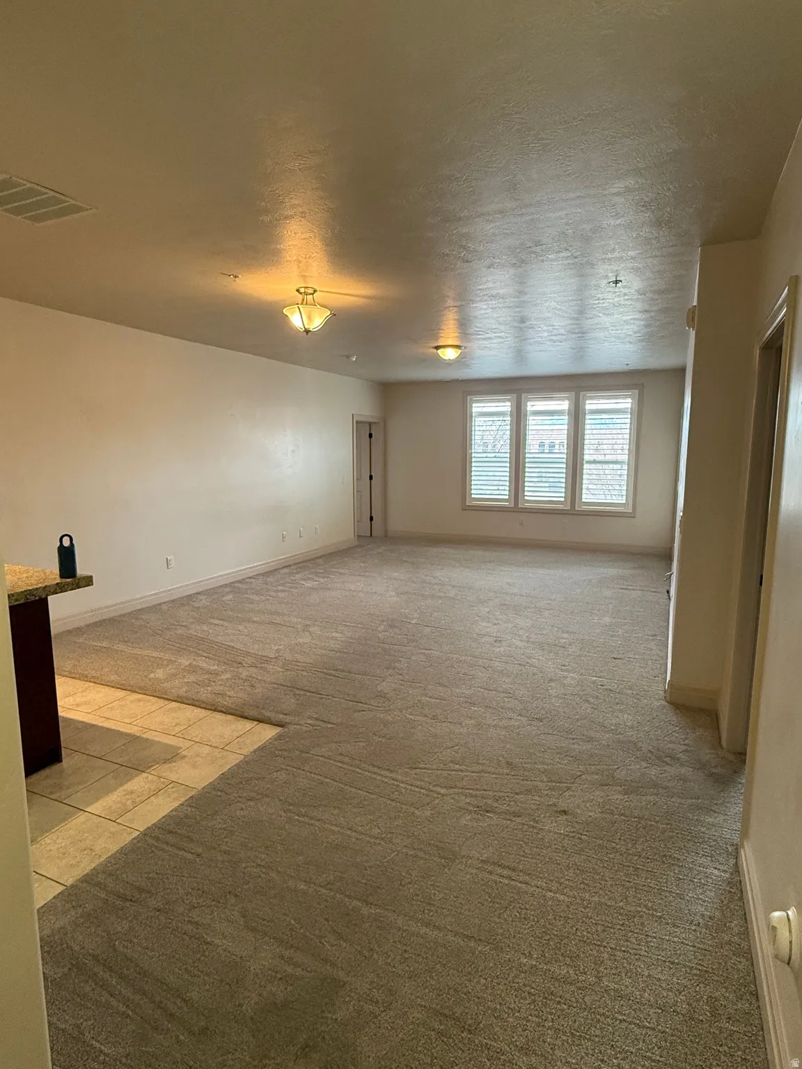 Unfurnished living room with light colored carpet and a textured ceiling