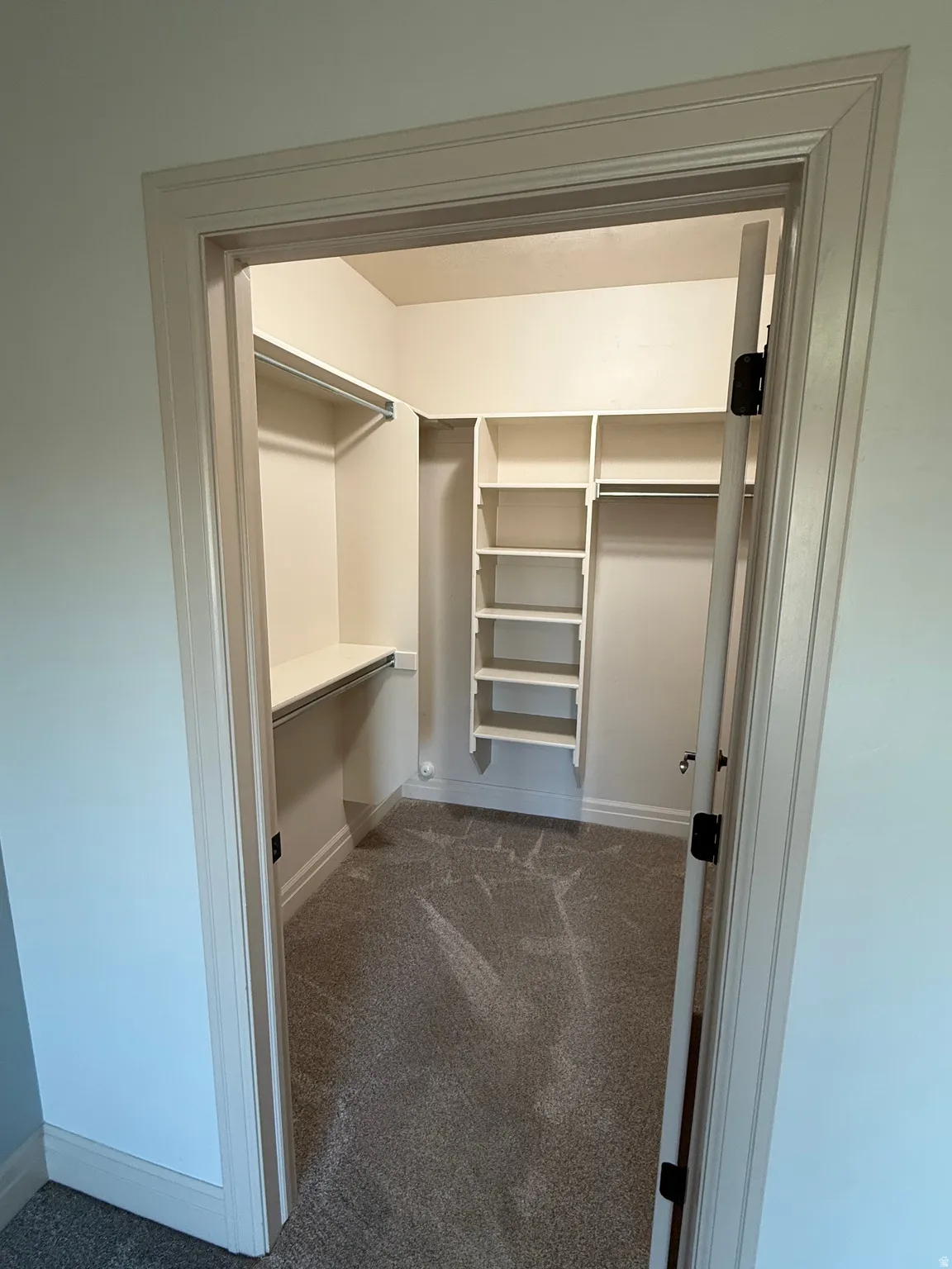 Walk in closet featuring dark colored carpet