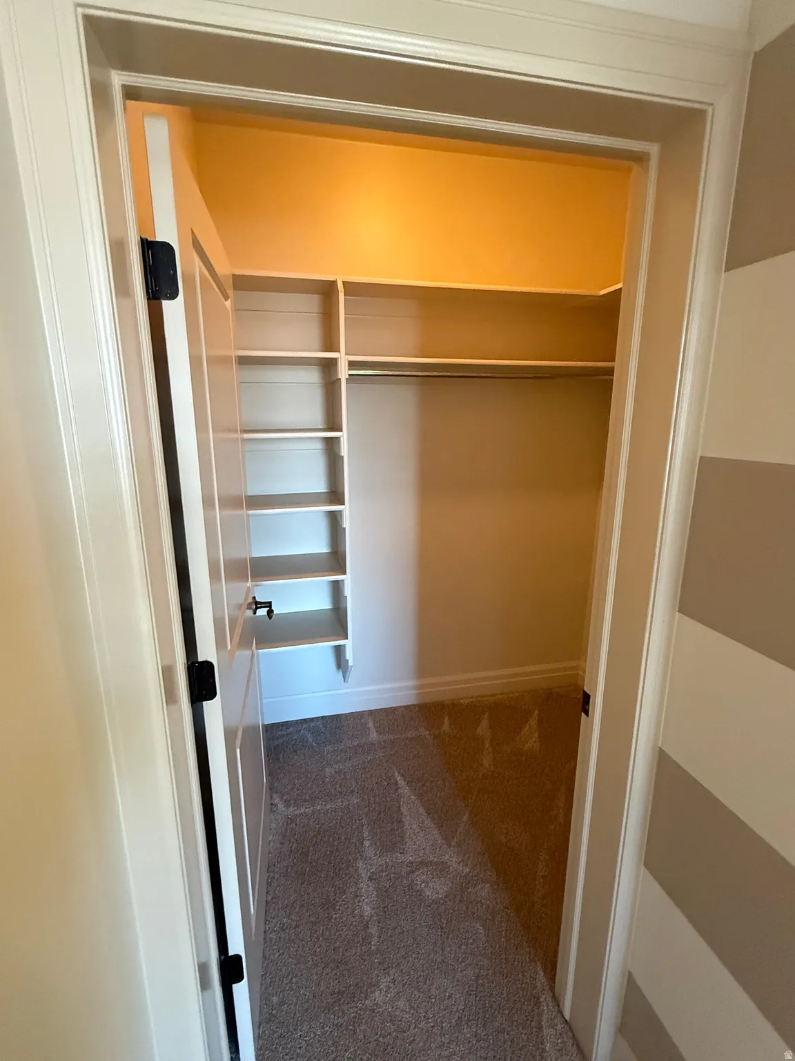 Walk in closet with dark colored carpet